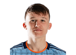 Mitja Ilenic