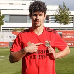Tomás Araújo