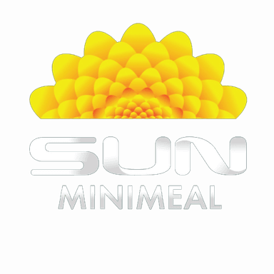 SUN Minimeal Team  Extreme E