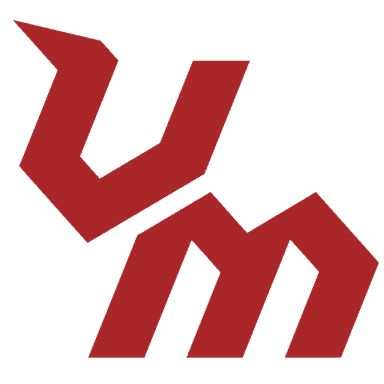 Viking Motorsports