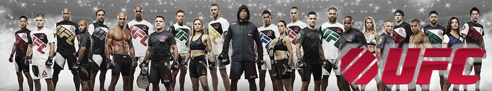 UFC Heavyweight